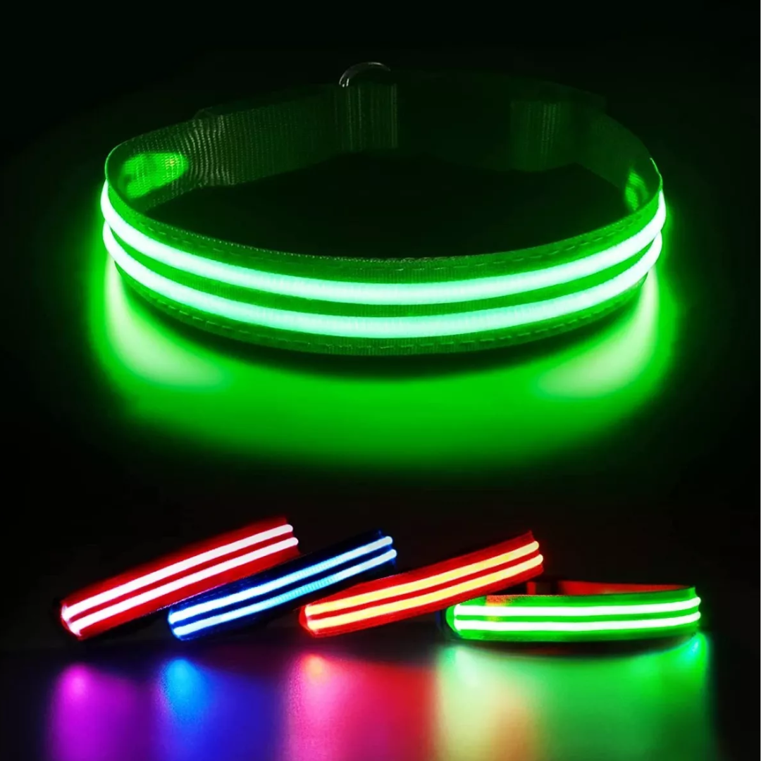 Collar LED para Mascotas - PERROS & GATOS