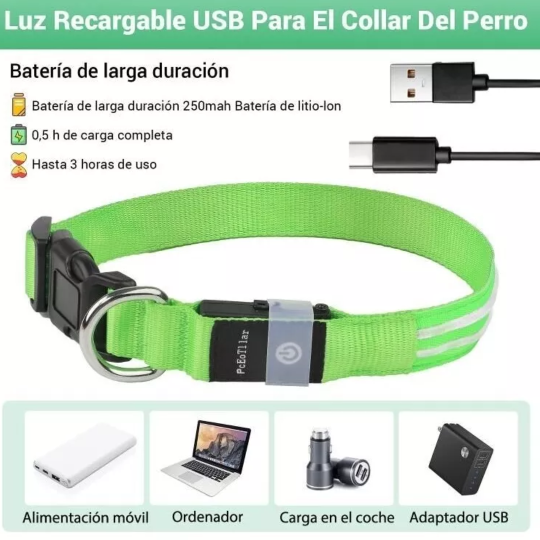 Collar LED para Mascotas - PERROS & GATOS