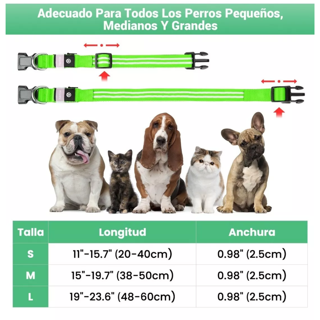Collar LED para Mascotas - PERROS & GATOS