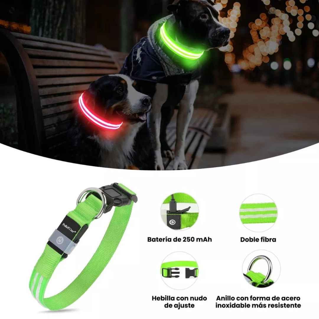 Collar LED para Mascotas - PERROS & GATOS