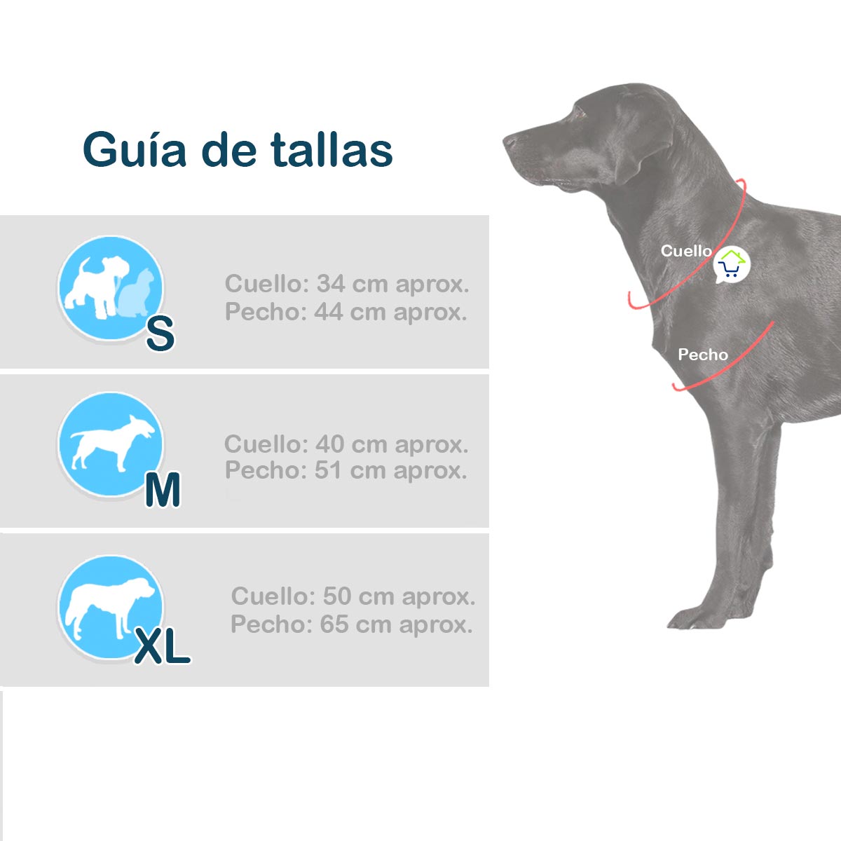 Disfraz Para Mascota De Bruja