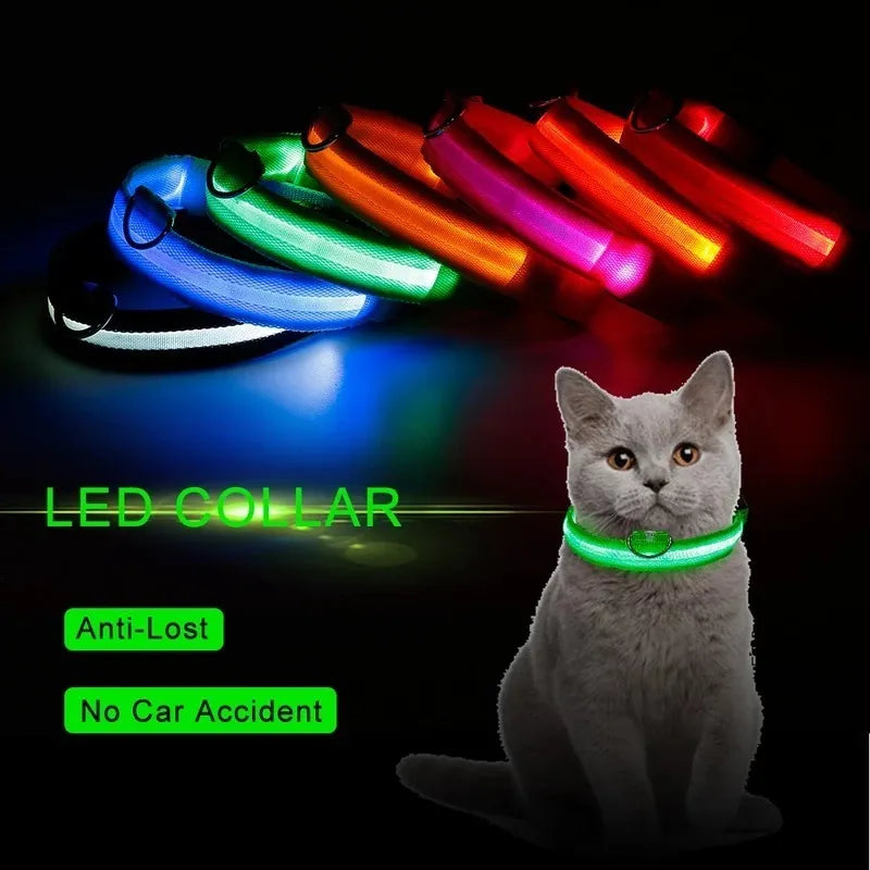 Collar LED para Mascotas - PERROS & GATOS