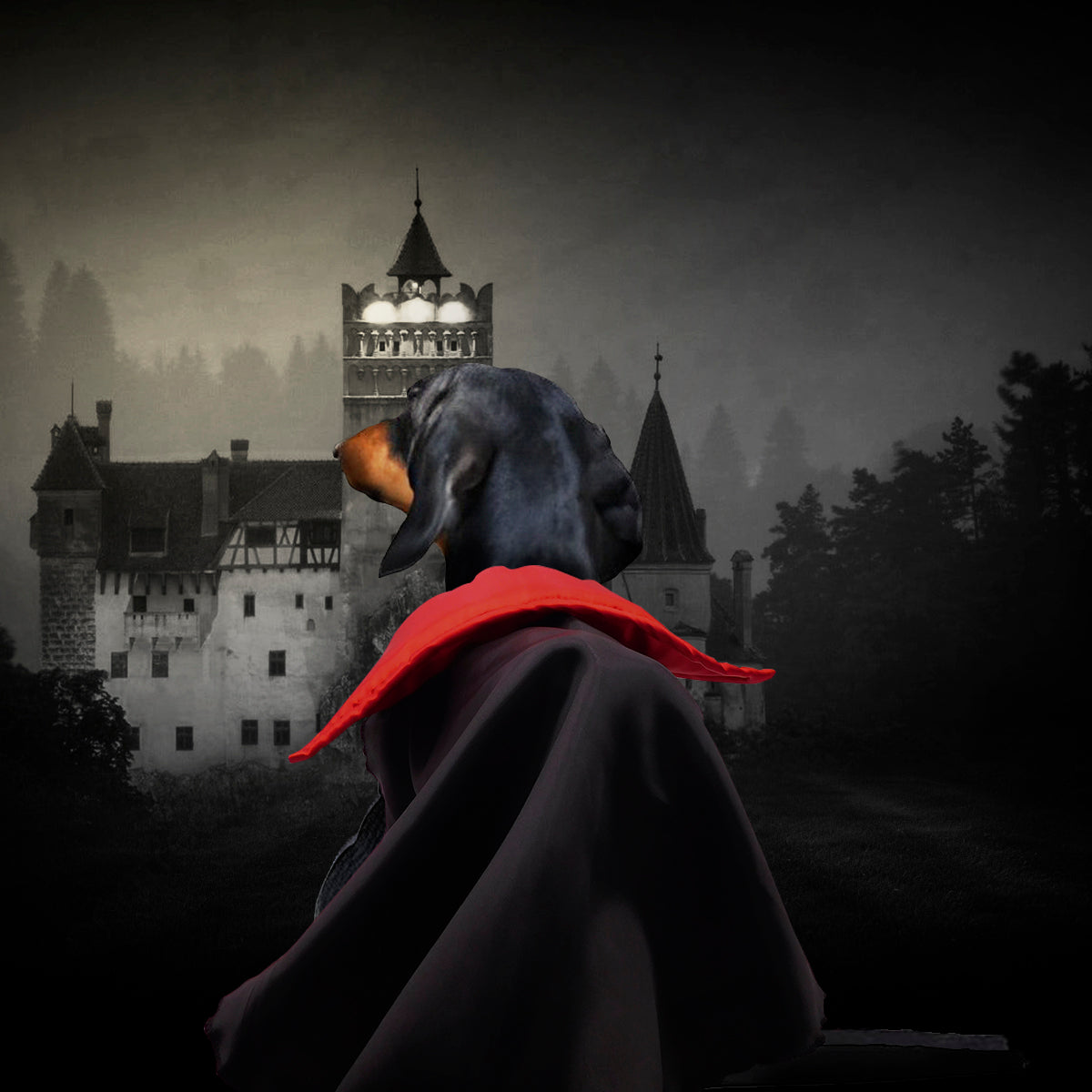 Disfraz Dracula Para Perro Gato