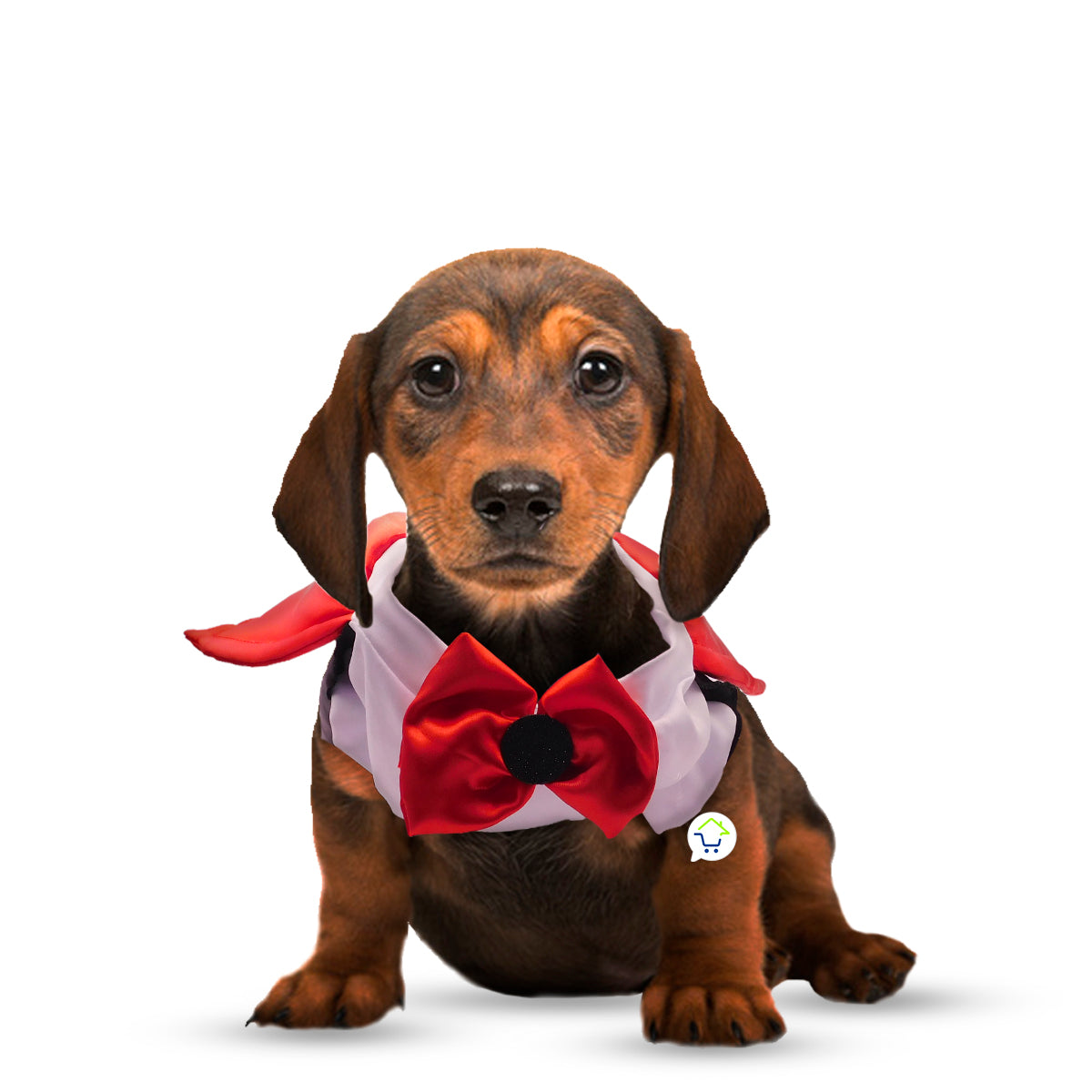 Disfraz Dracula Para Perro Gato
