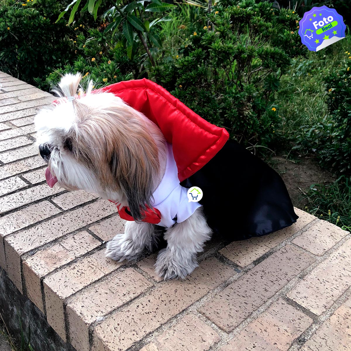 Disfraz Dracula Para Perro Gato