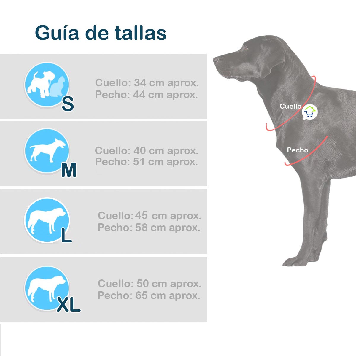 Disfraz Para Mascotas De Mariposa Hada
