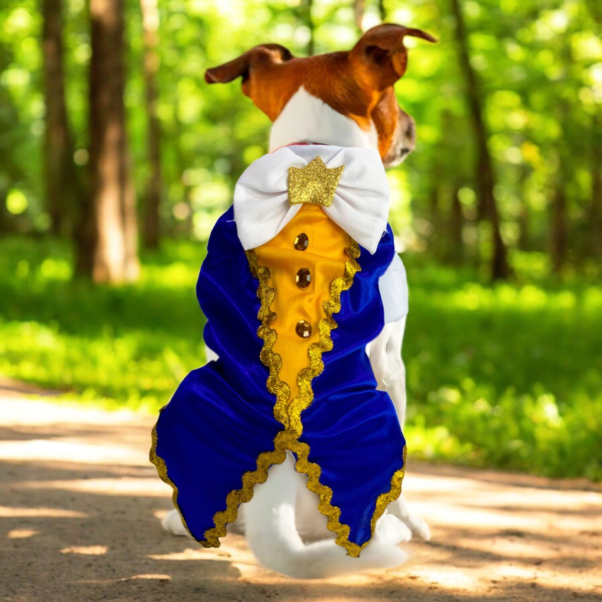 Disfraz Para Mascotas De Principe