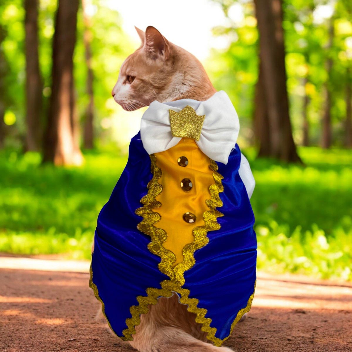Disfraz Para Mascotas De Principe