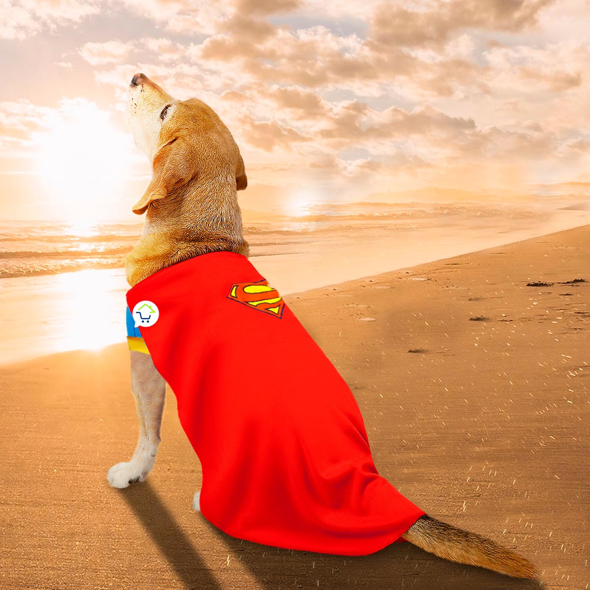 Disfraz Mascotas Súper Man