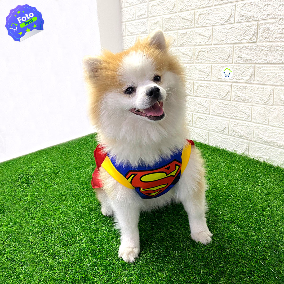 Disfraz Mascotas Súper Man