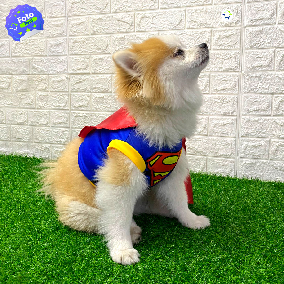 Disfraz Mascotas Súper Man