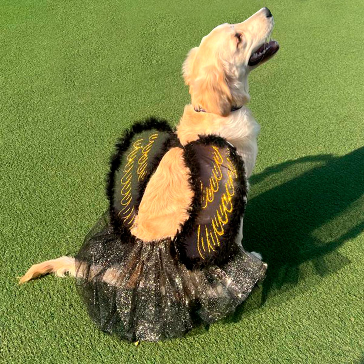 Disfraz Mascota Angel Negro