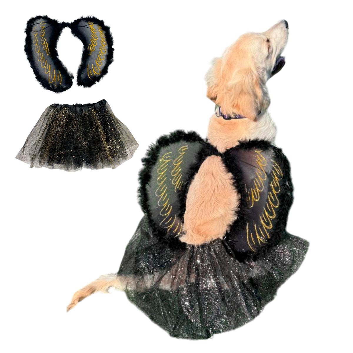 Disfraz Mascota Angel Negro
