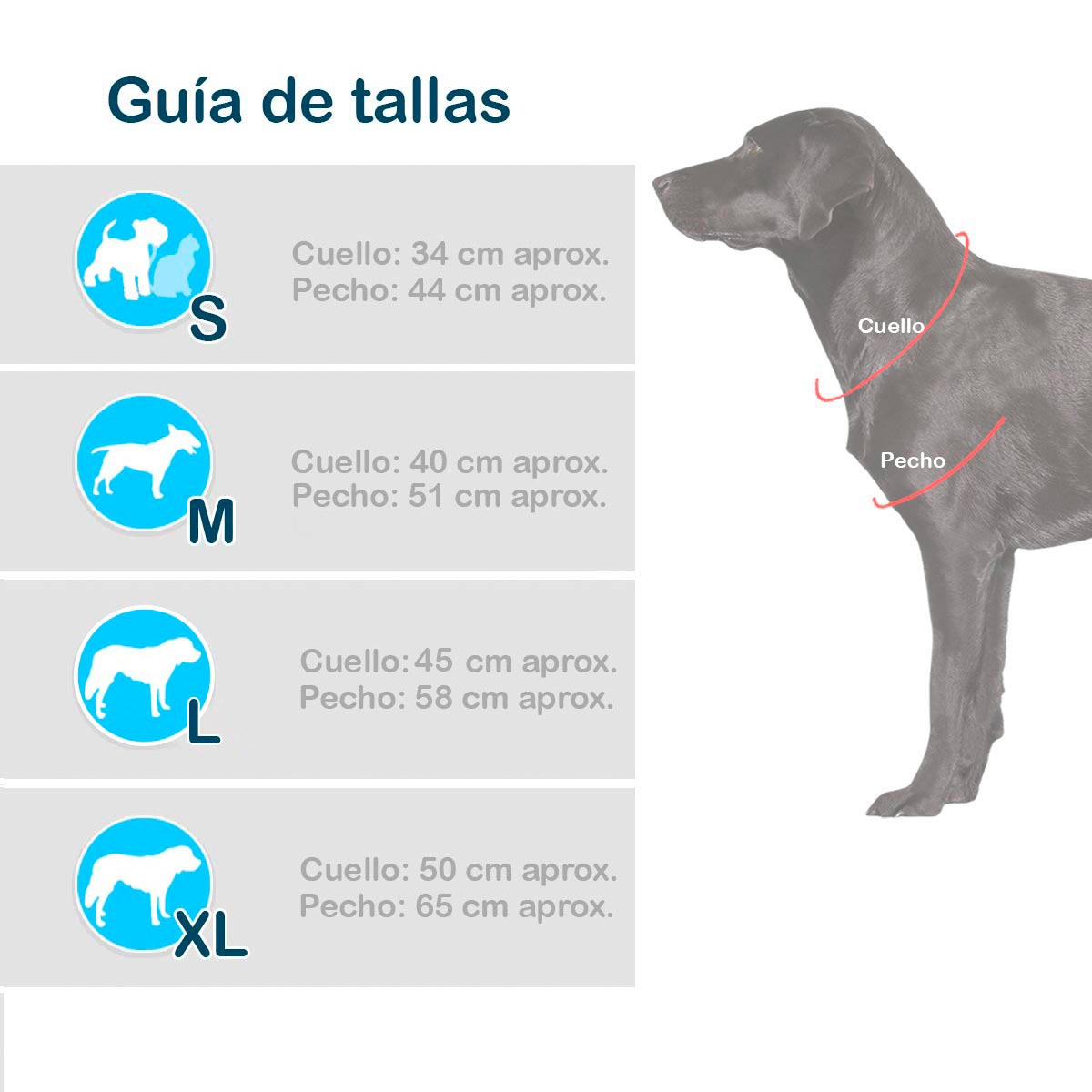 Disfraz Para Mascotas Campanita