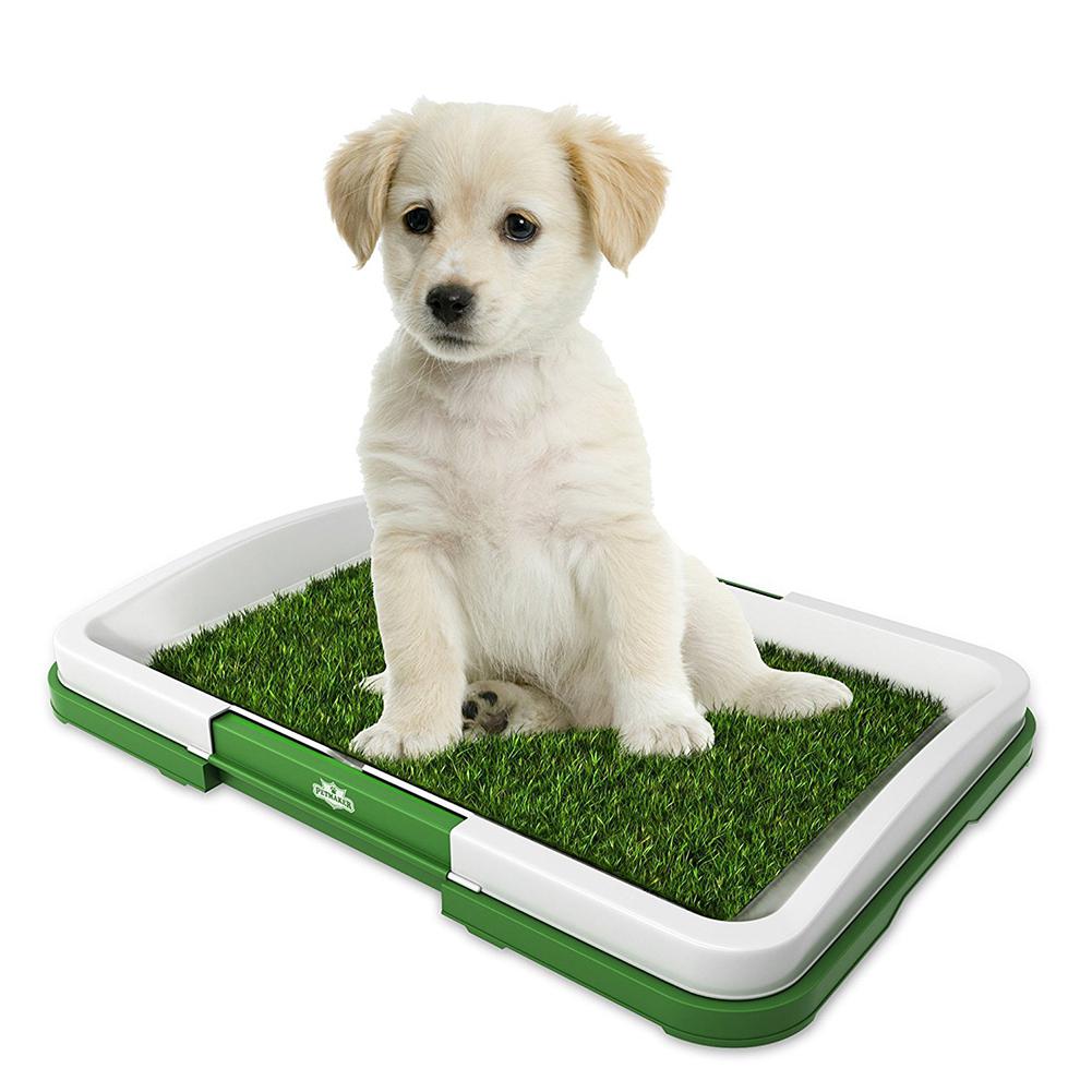 Orinal para Mascotas