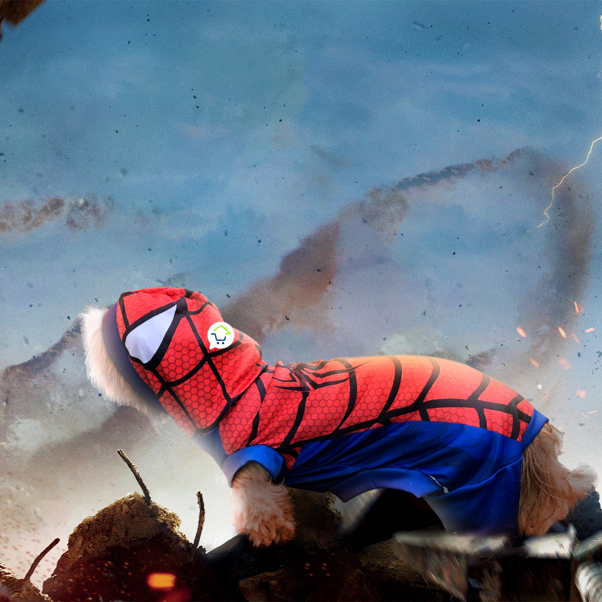 Disfraz Para Mascotas Araña