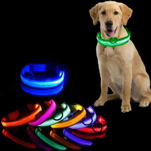 Collar LED para Mascotas - PERROS & GATOS