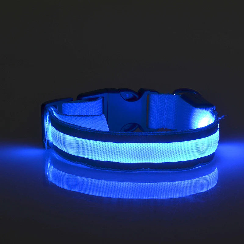 Collar LED para Mascotas - PERROS & GATOS