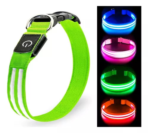 Collar LED para Mascotas - PERROS & GATOS