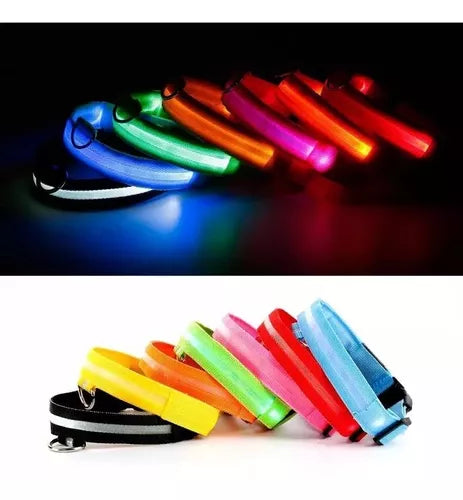 Collar LED para Mascotas - PERROS & GATOS