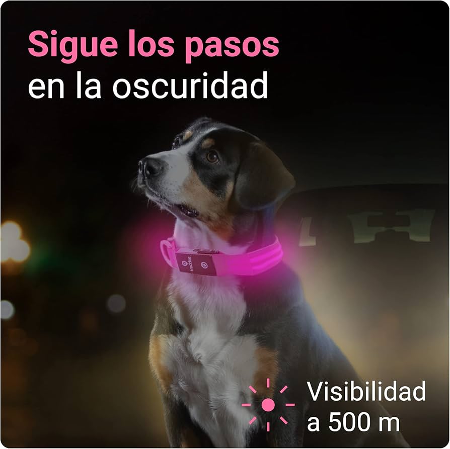 Collar LED para Mascotas - PERROS & GATOS