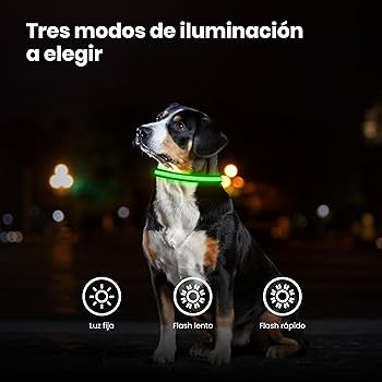 Collar LED para Mascotas - PERROS & GATOS
