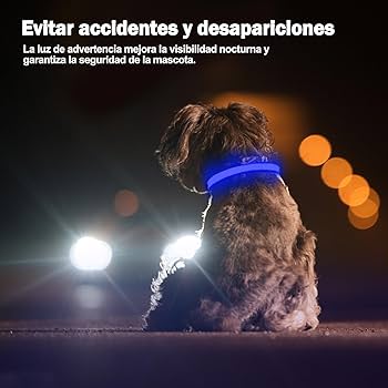 Collar LED para Mascotas - PERROS & GATOS