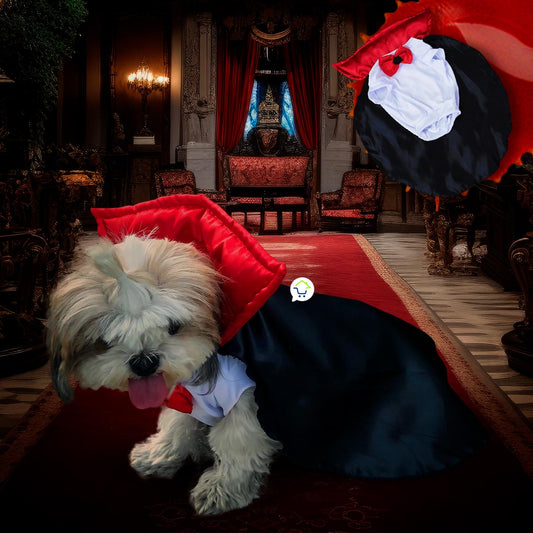 Disfraz Dracula Para Perro Gato