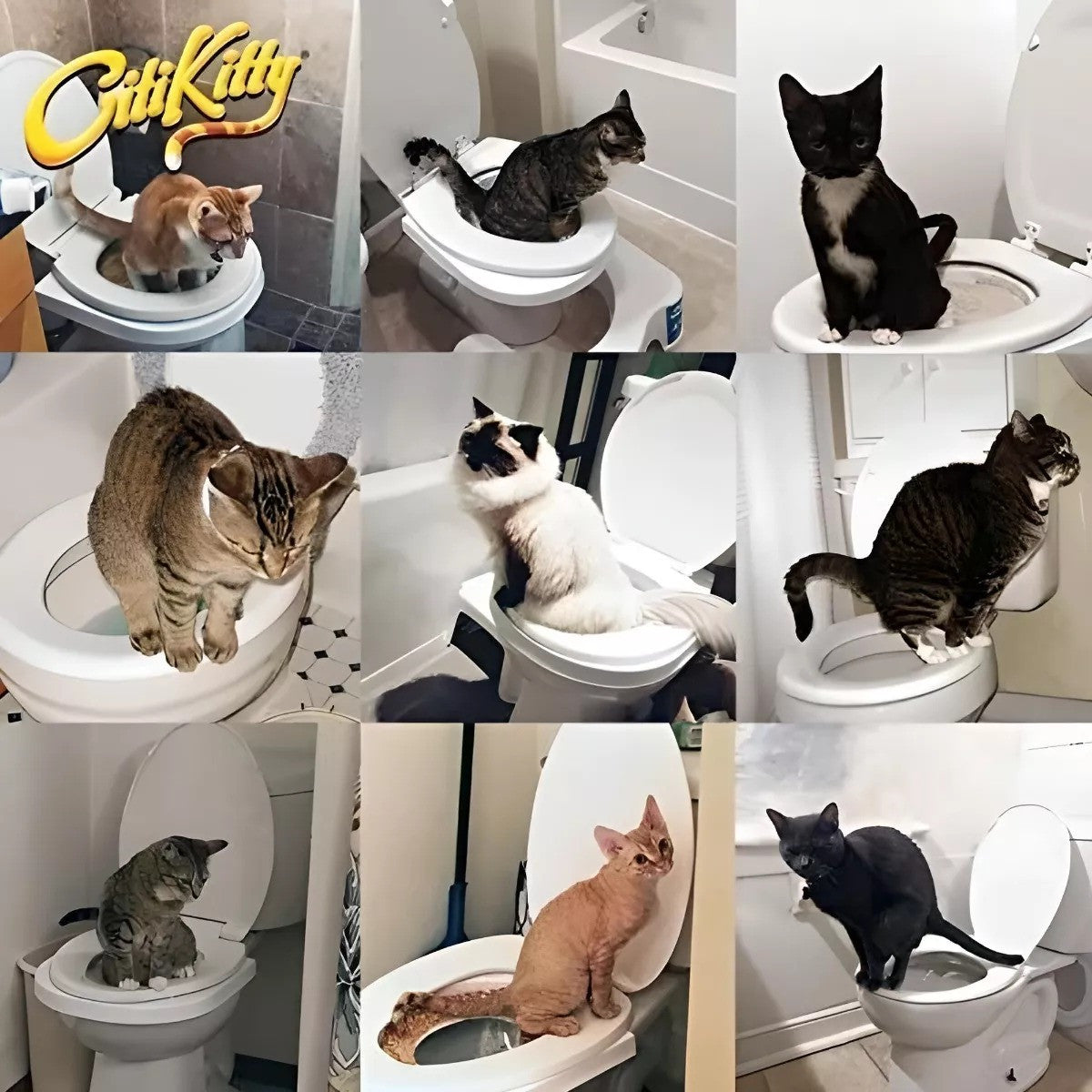 Orinal Kit entrenamiento de Baño Gatos