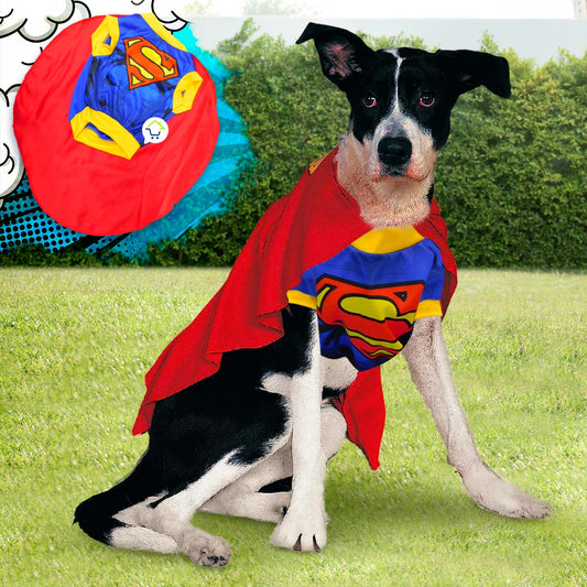 Disfraz Mascotas Súper Man