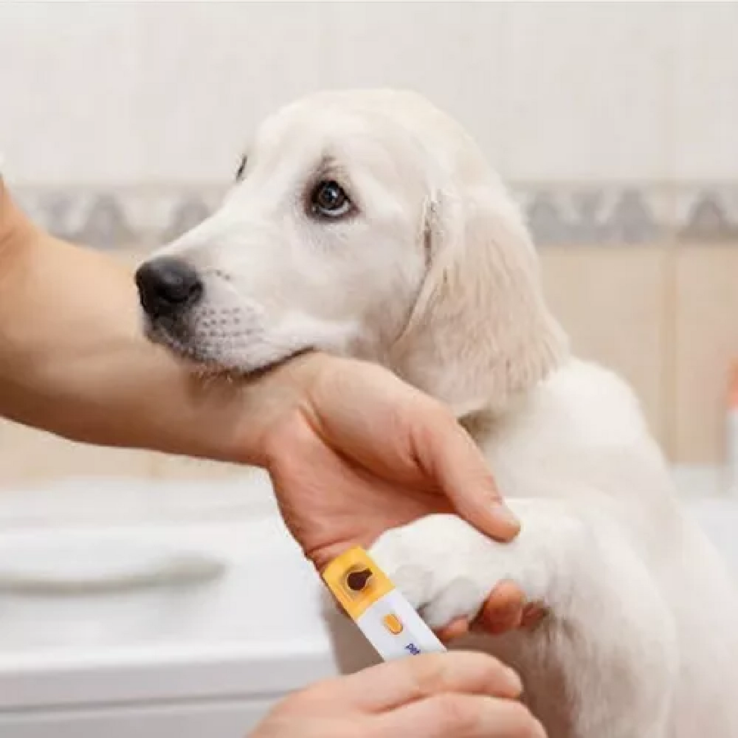 Lima Pulidora Eléctrica para Uñas de Mascotas Perros y Gatos