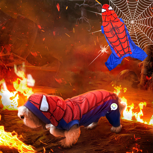 Disfraz Para Mascotas Araña